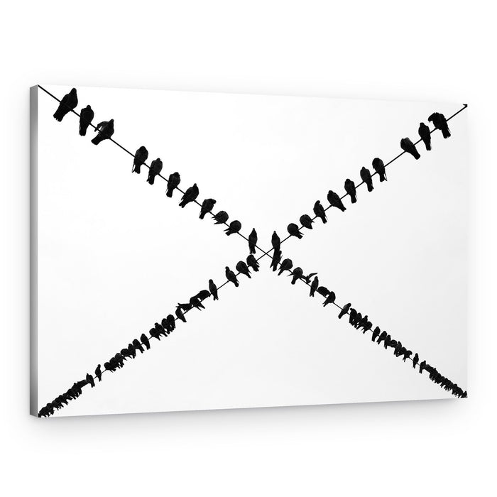 Birds On Crossed Wires – Canvas Print