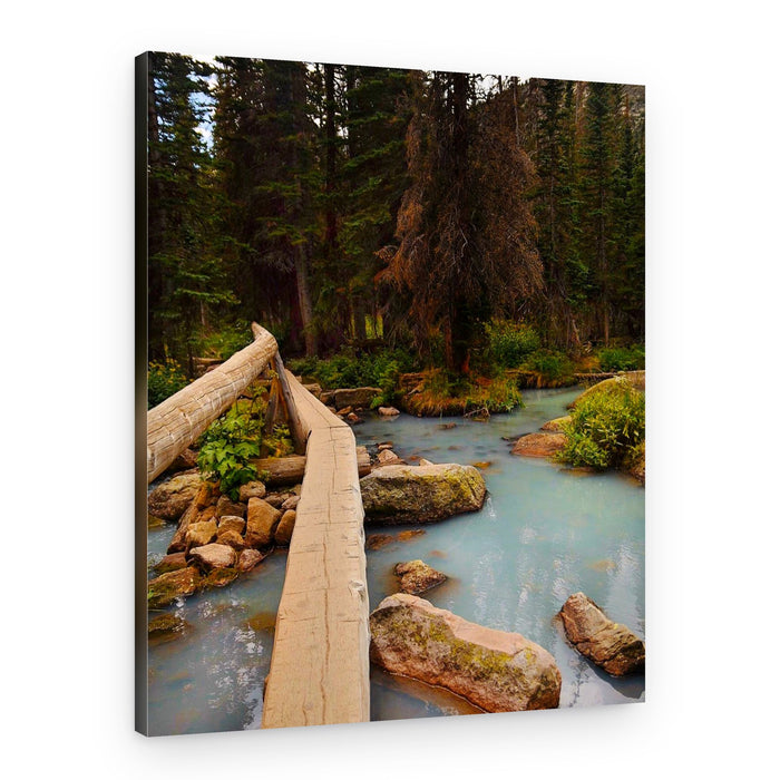 Nature's Blue Pathway – Canvas Print