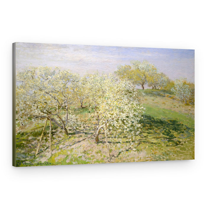 Spring (fruit Trees In Bloom) (1873) By Claude Monet – Canvas Print
