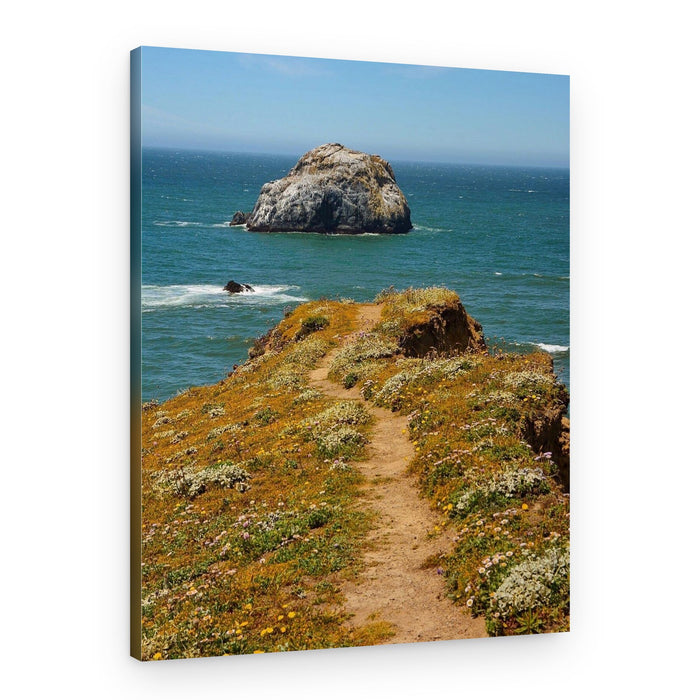 Wildflower Path Ocean View – Canvas Print