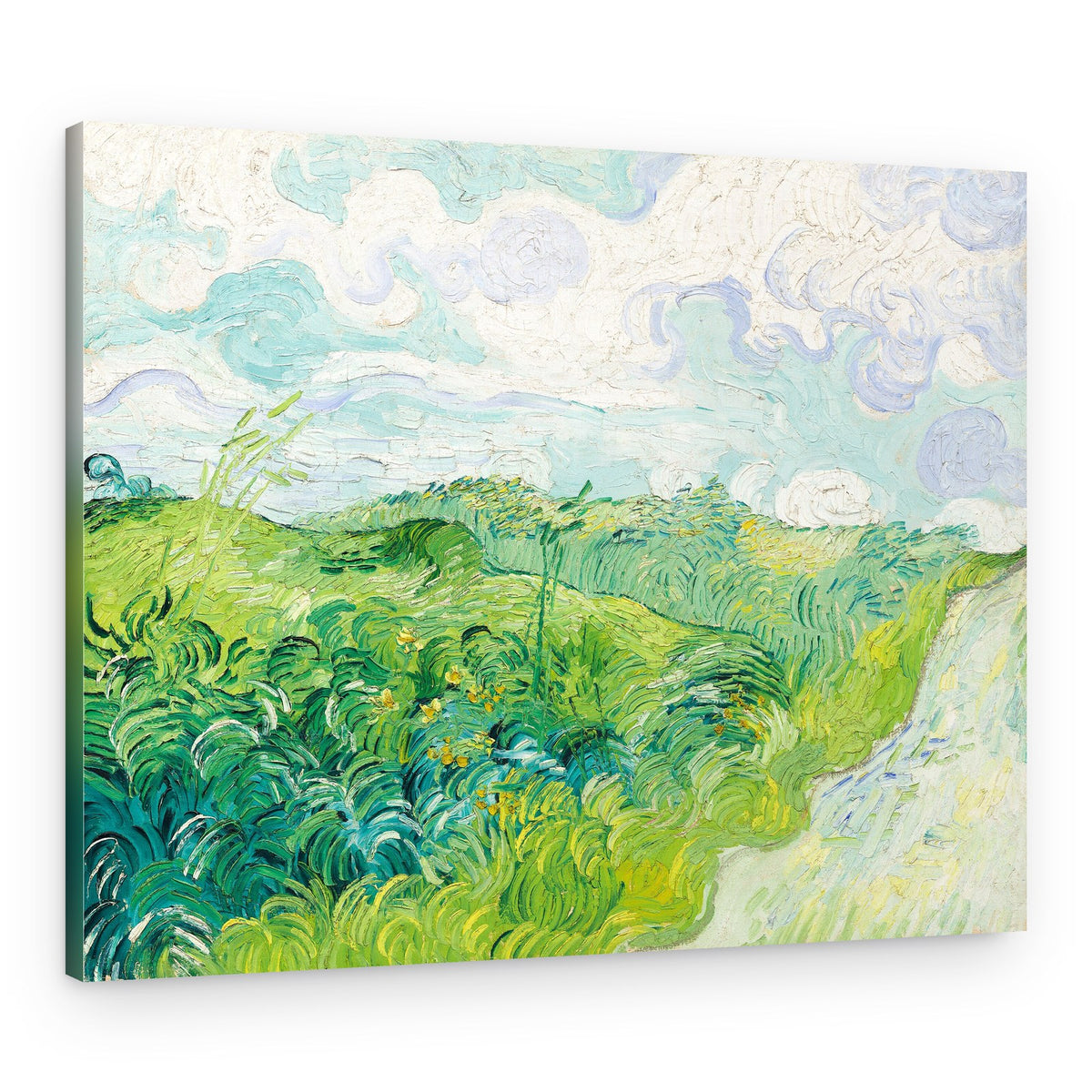 Green Wheat Fields, Auvers (1890) By Vincent Van Gogh – Canvas Print