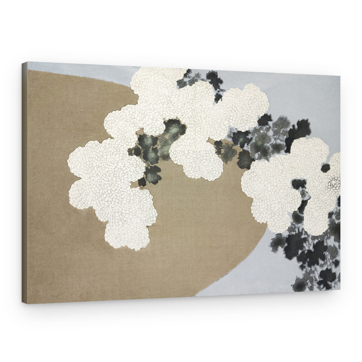 Blossom From Momoyogusa – Canvas Print