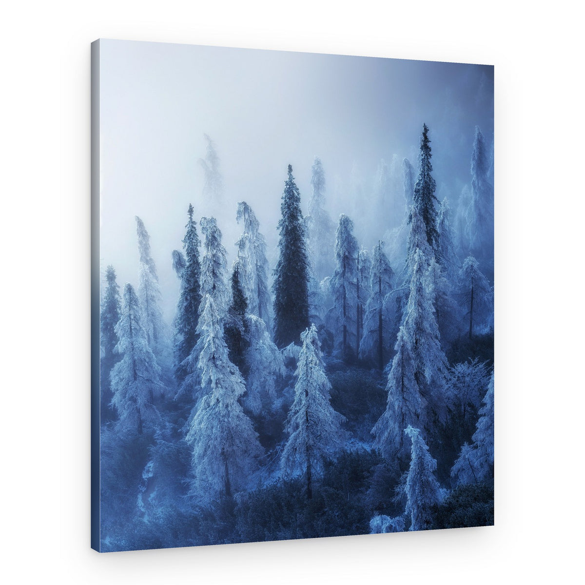 Misty Winter Forest – Canvas Print