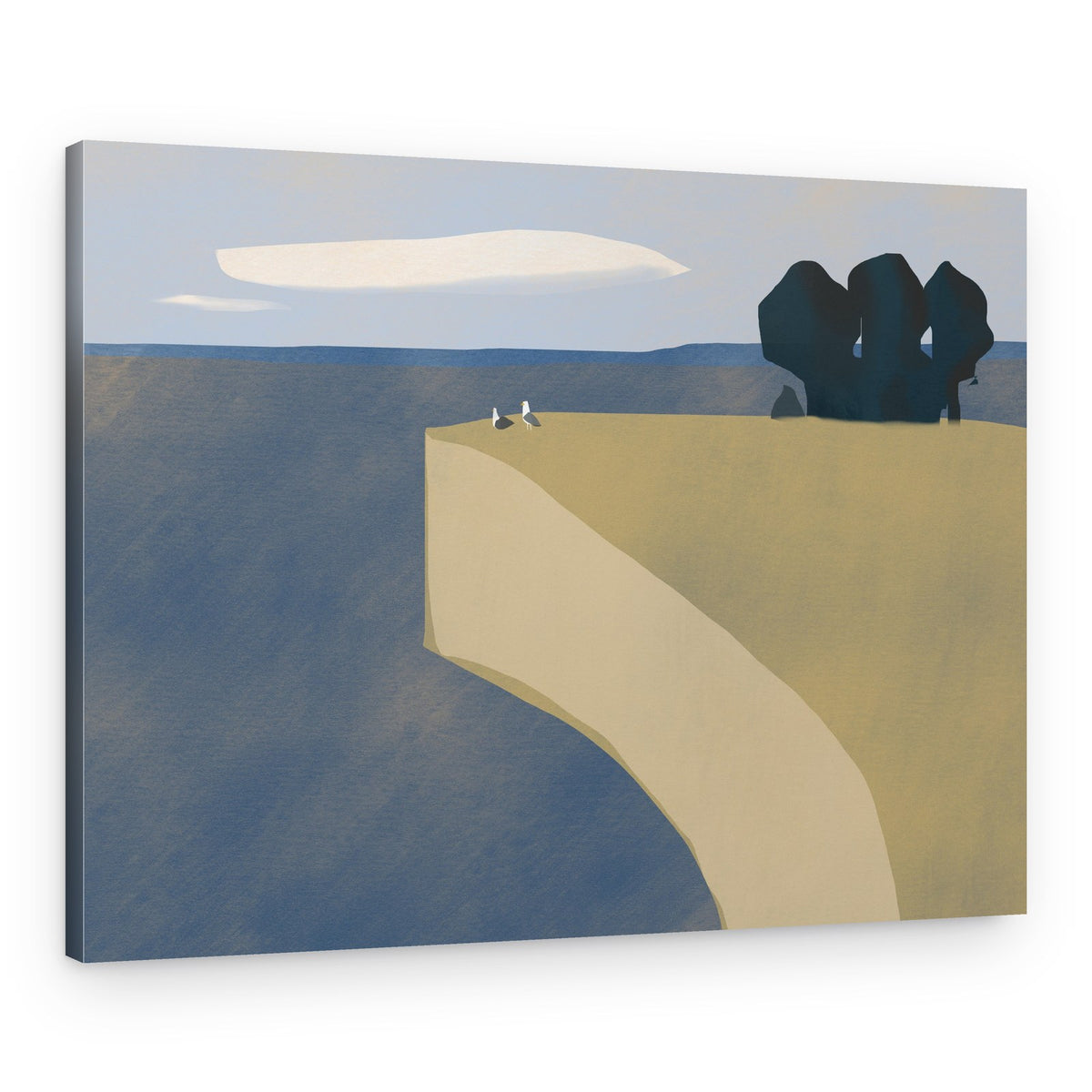 Seagulls On Cliff – Canvas Print