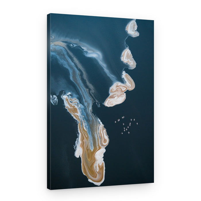 Abstract Salt Lake Birds – Canvas Print