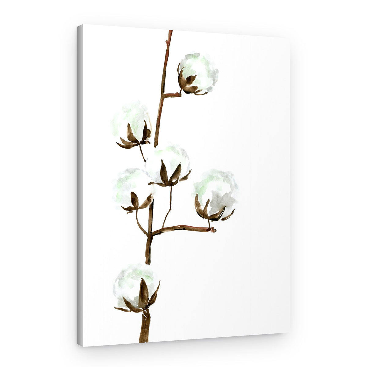 Delicate Cotton Branches – Canvas Print