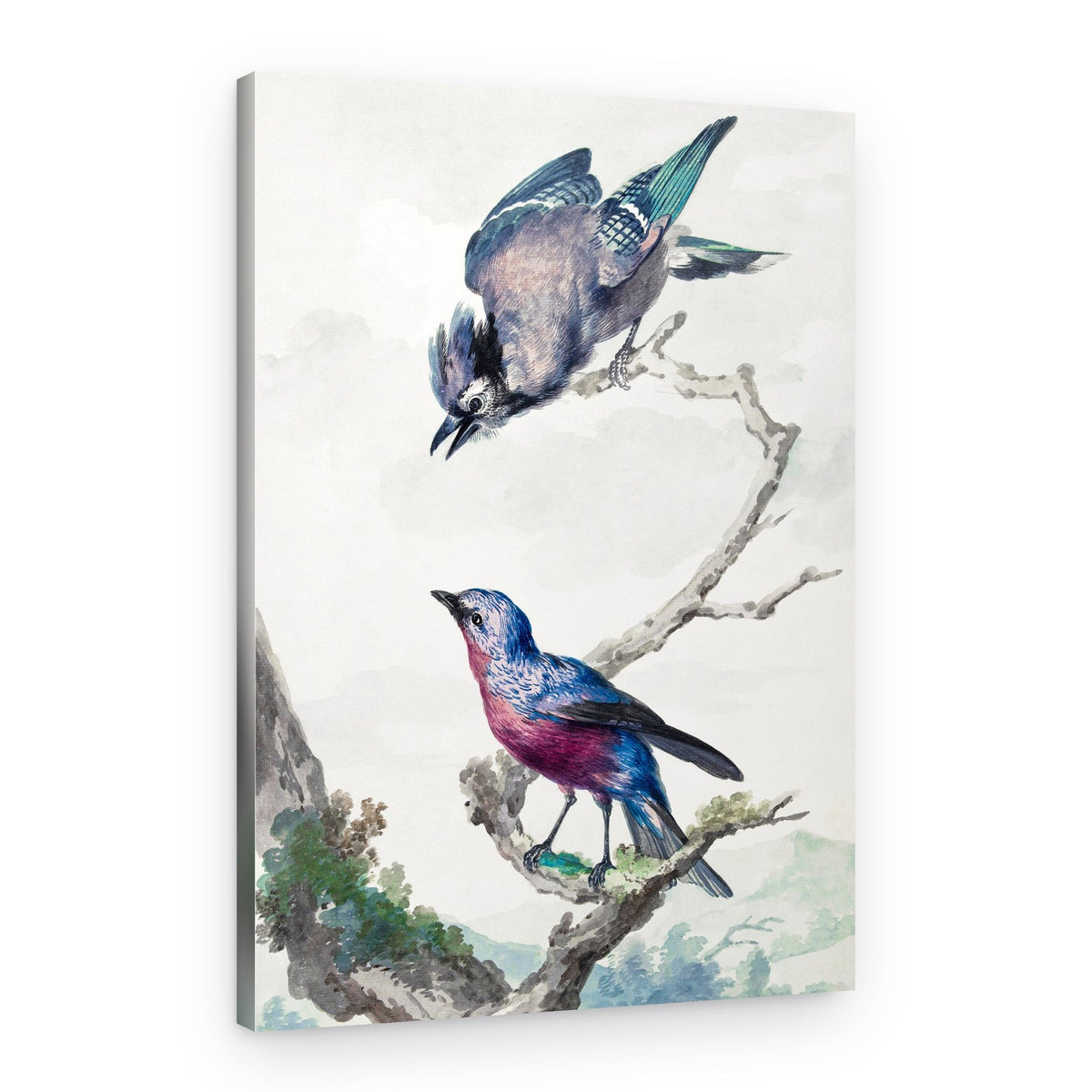 Two Birds a Blue Jay and a Purple Breasted Cotinga – Canvas Print