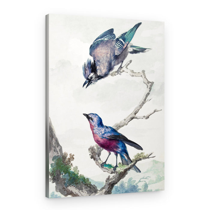 Two Birds a Blue Jay and a Purple Breasted Cotinga – Canvas Print