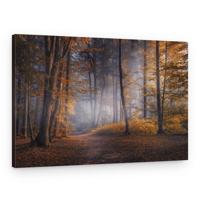 Misty Golden Forest Path – Canvas Print