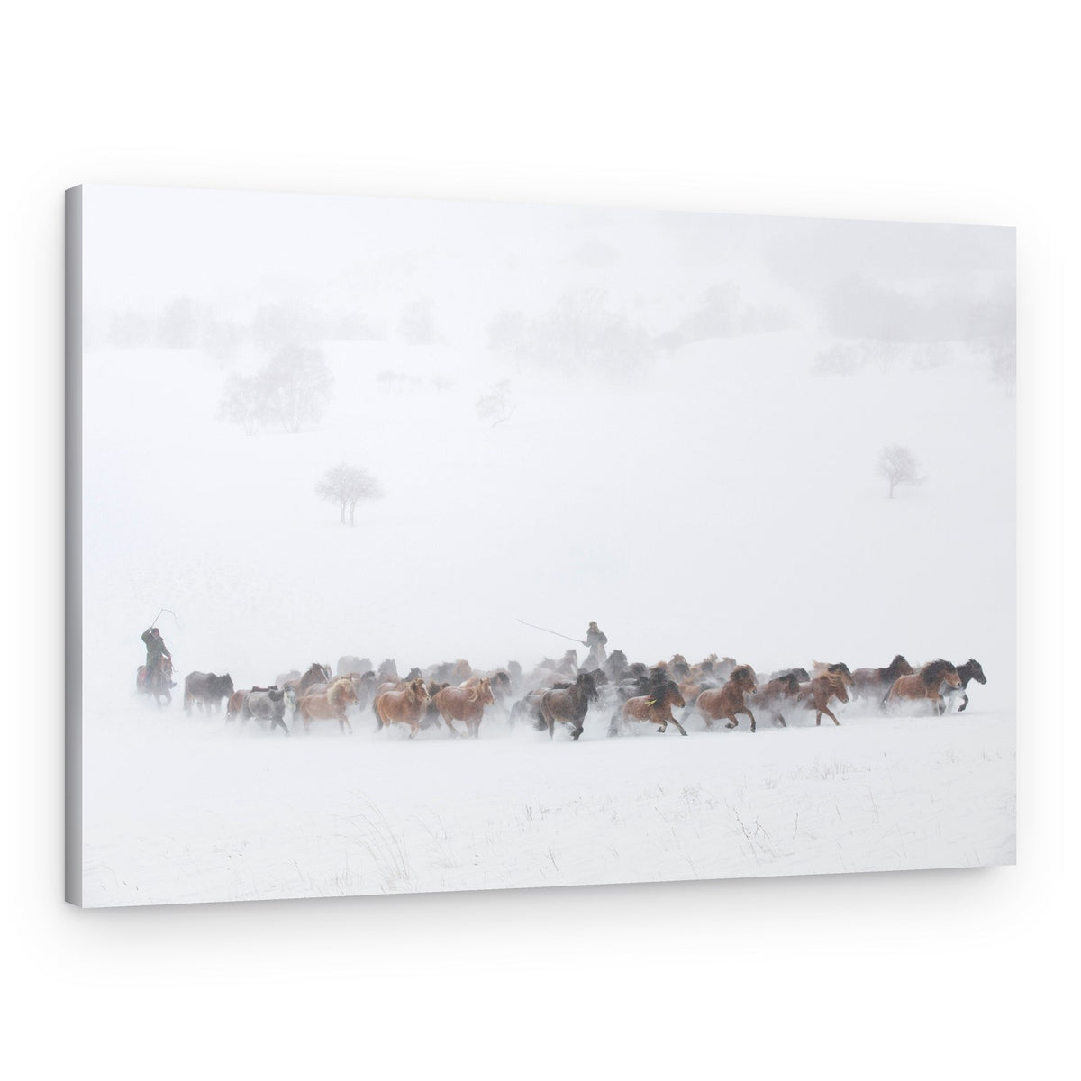 Wild Horses Winter Run – Canvas Print