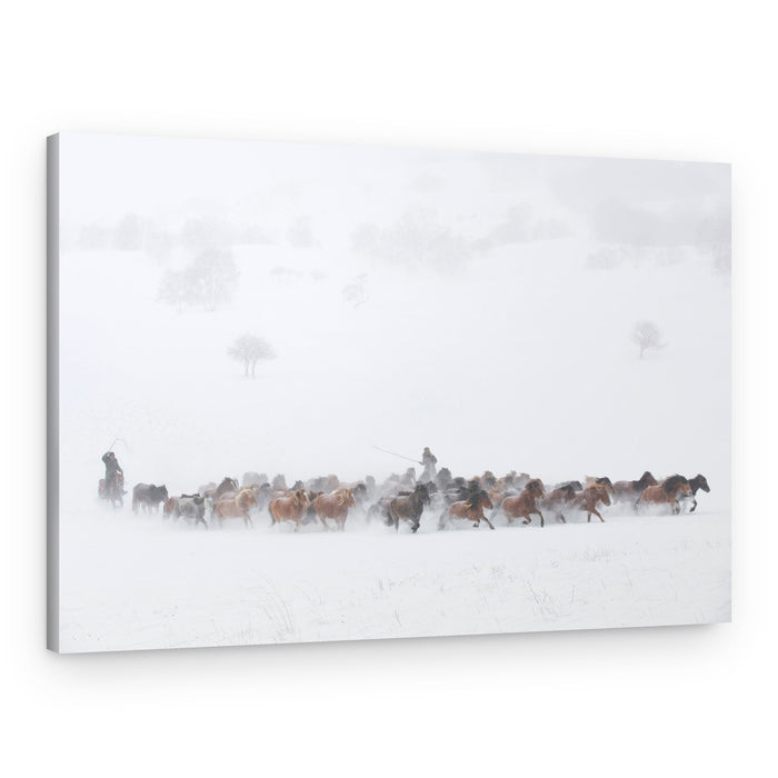 Wild Horses Winter Run – Canvas Print