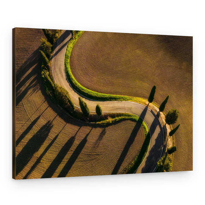 Winding Country Road Shadows – Canvas Print