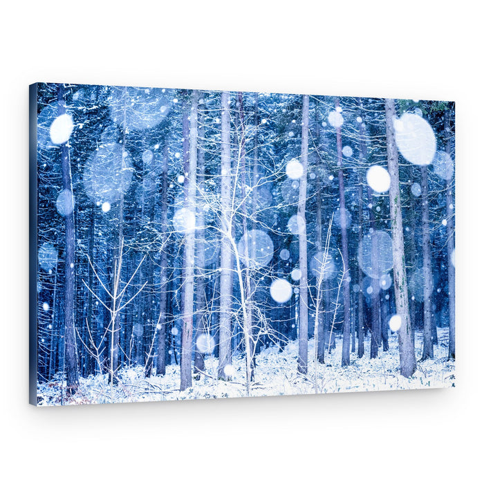 Dreamy Winter Forest – Canvas Print