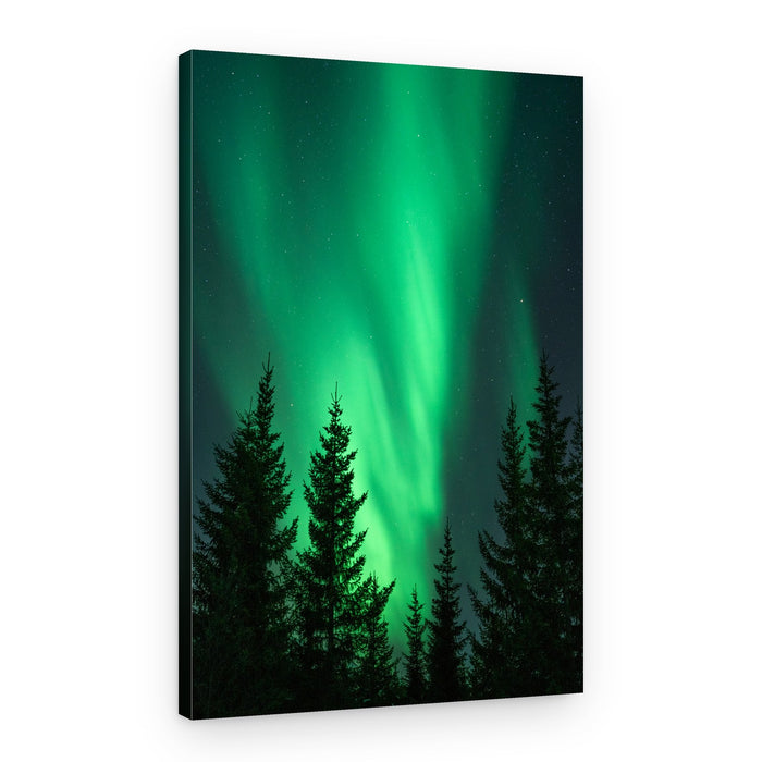 Northern Lights Forest – Canvas Print