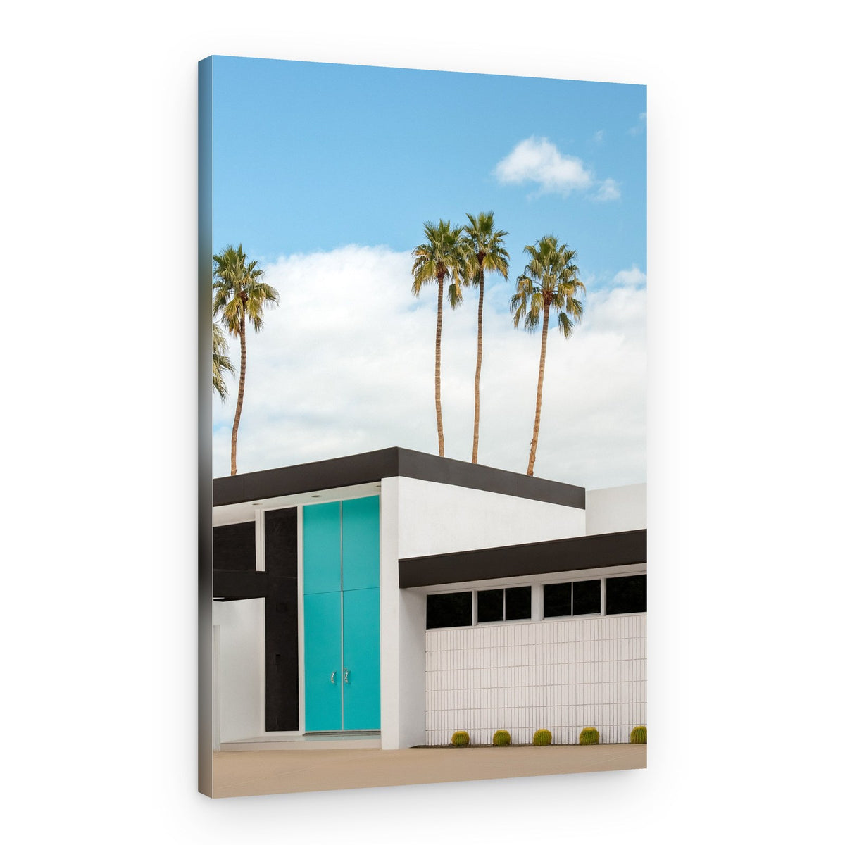 Turquoise Blue Doors on a Modern Home – Canvas Print