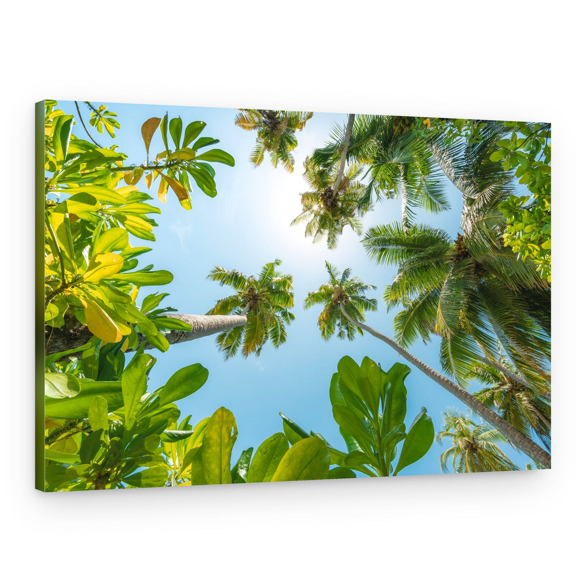 Tropical Up – Canvas Print