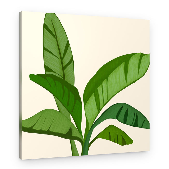 Tropical Banana Leaves – Canvas Print
