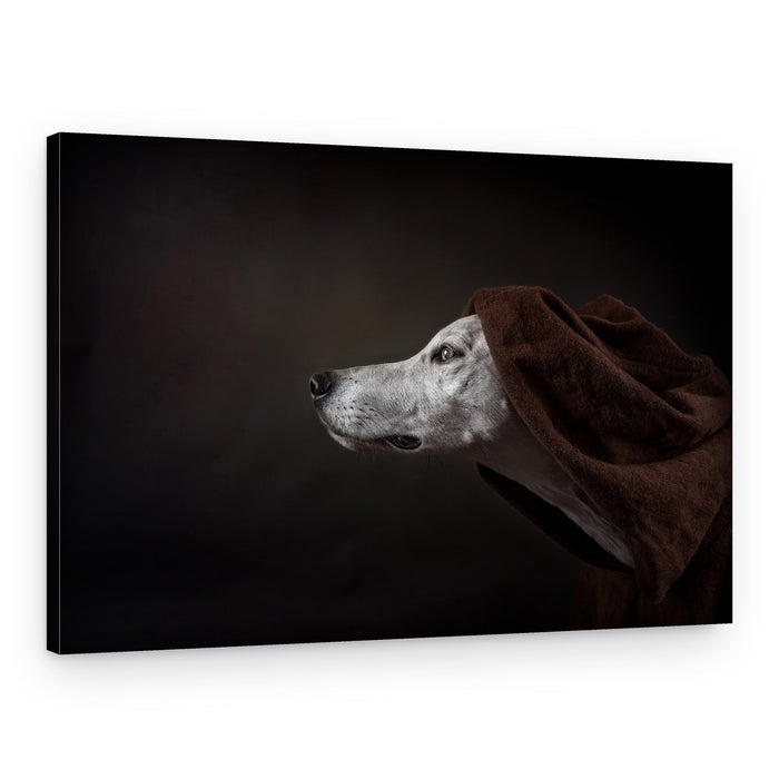 Noble Hooded Dog – Canvas Print