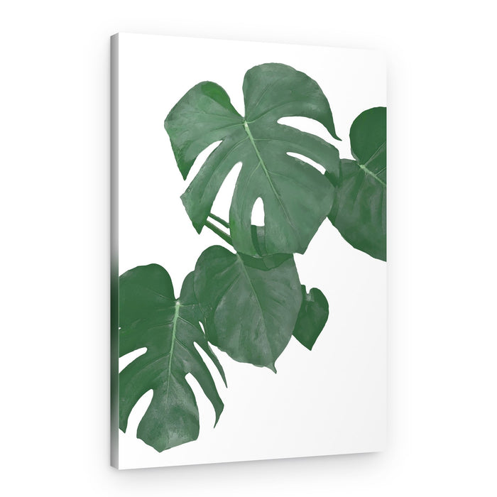 Lush Monstera Leaves – Canvas Print