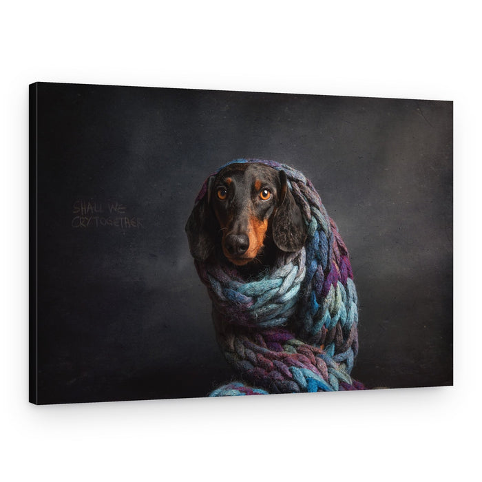 Cozy Pensive Dachshund – Canvas Print