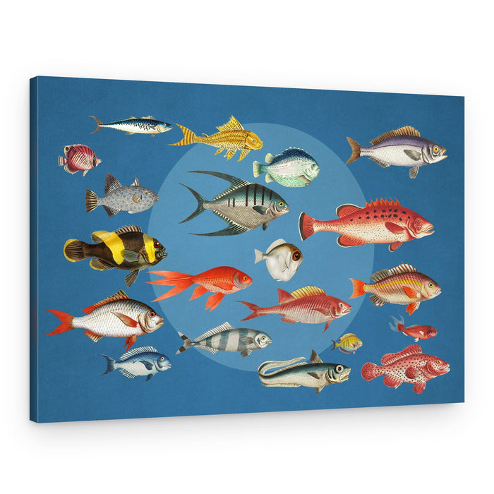 Colorful Ocean Fish Collection – Canvas Print