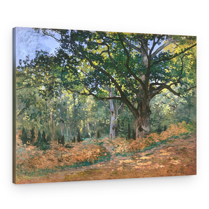 The Bodmer Oak, Fontainebleau Forest (1865) By Claude Monet – Canvas Print