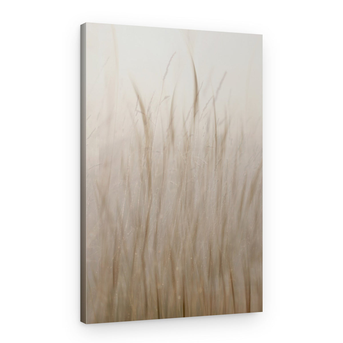 Soft Beige Grass – Canvas Print