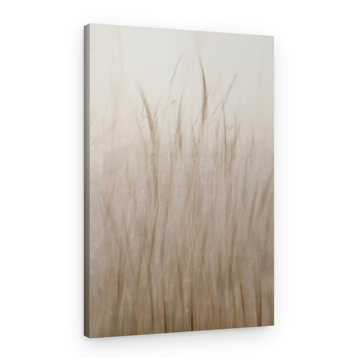 Soft Beige Grass – Canvas Print