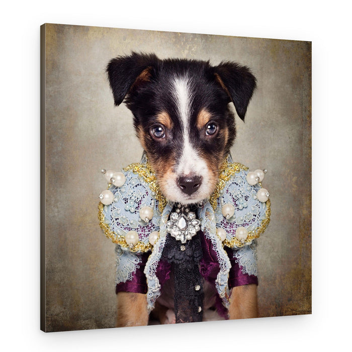 Fancy Matador Puppy – Canvas Print