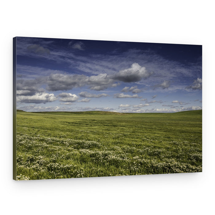 Blooming Green Horizon – Canvas Print