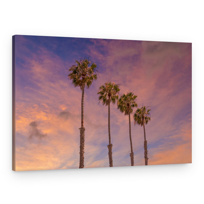 Sunset Palm Trees – Canvas Print