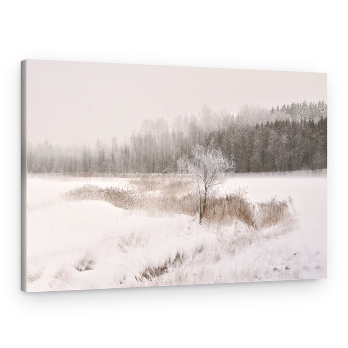 Frosted Winter Tree – Canvas Print
