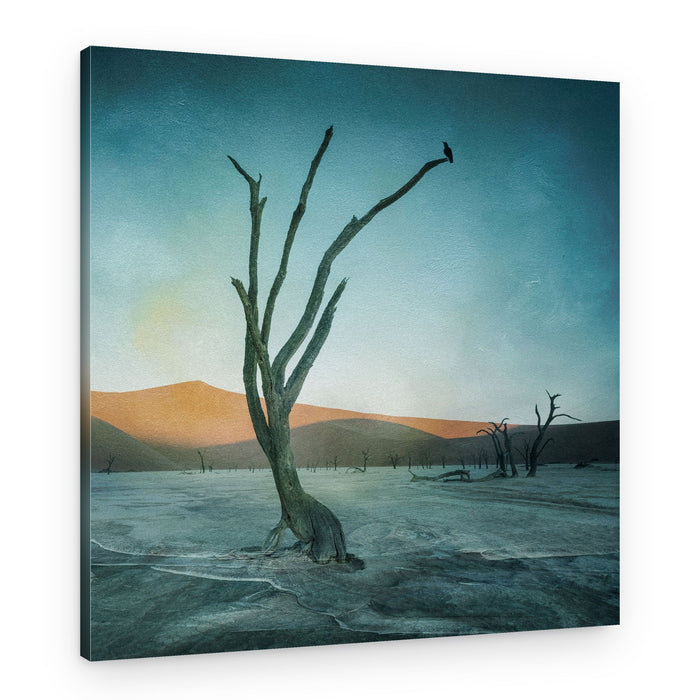 Lone Desert Tree – Canvas Print
