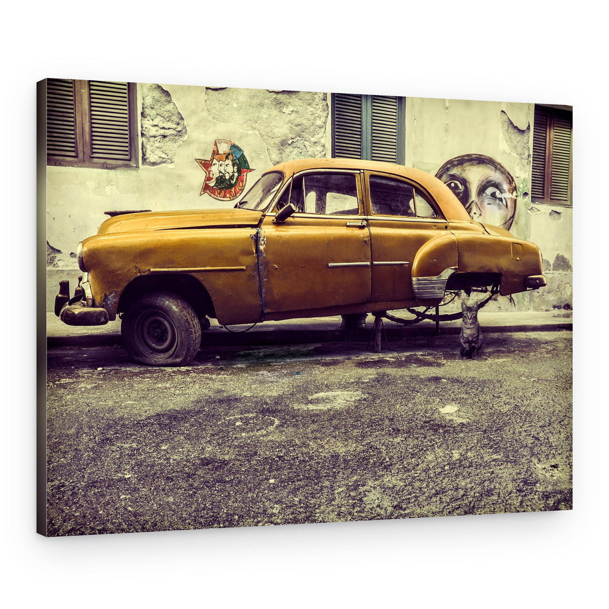 Yellow Car Curious Cat – Canvas Print