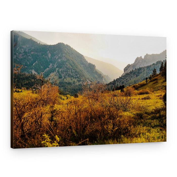 Golden Mountain Valley – Canvas Print