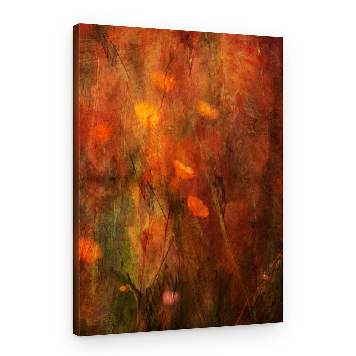 Textured Poppy Field – Canvas Print
