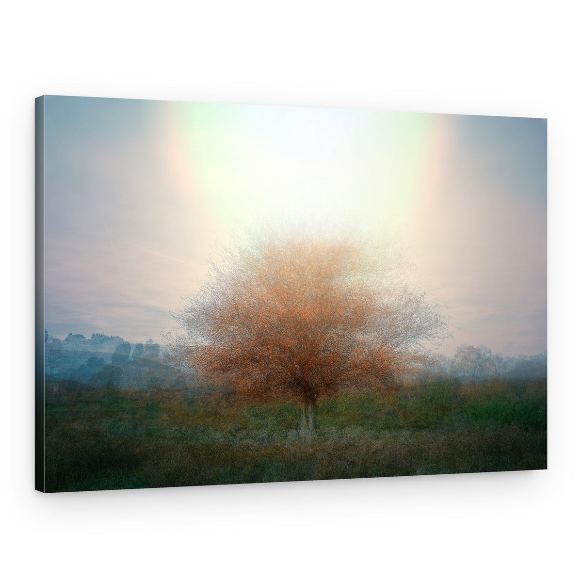 Dreamy Autumn Tree – Canvas Print