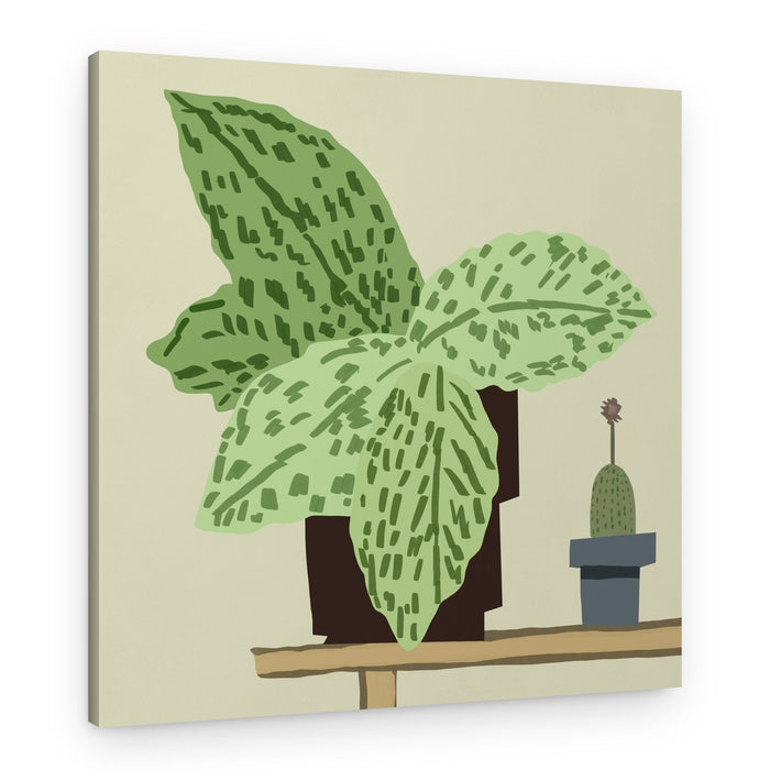 Modern Botanical Shelf – Canvas Print