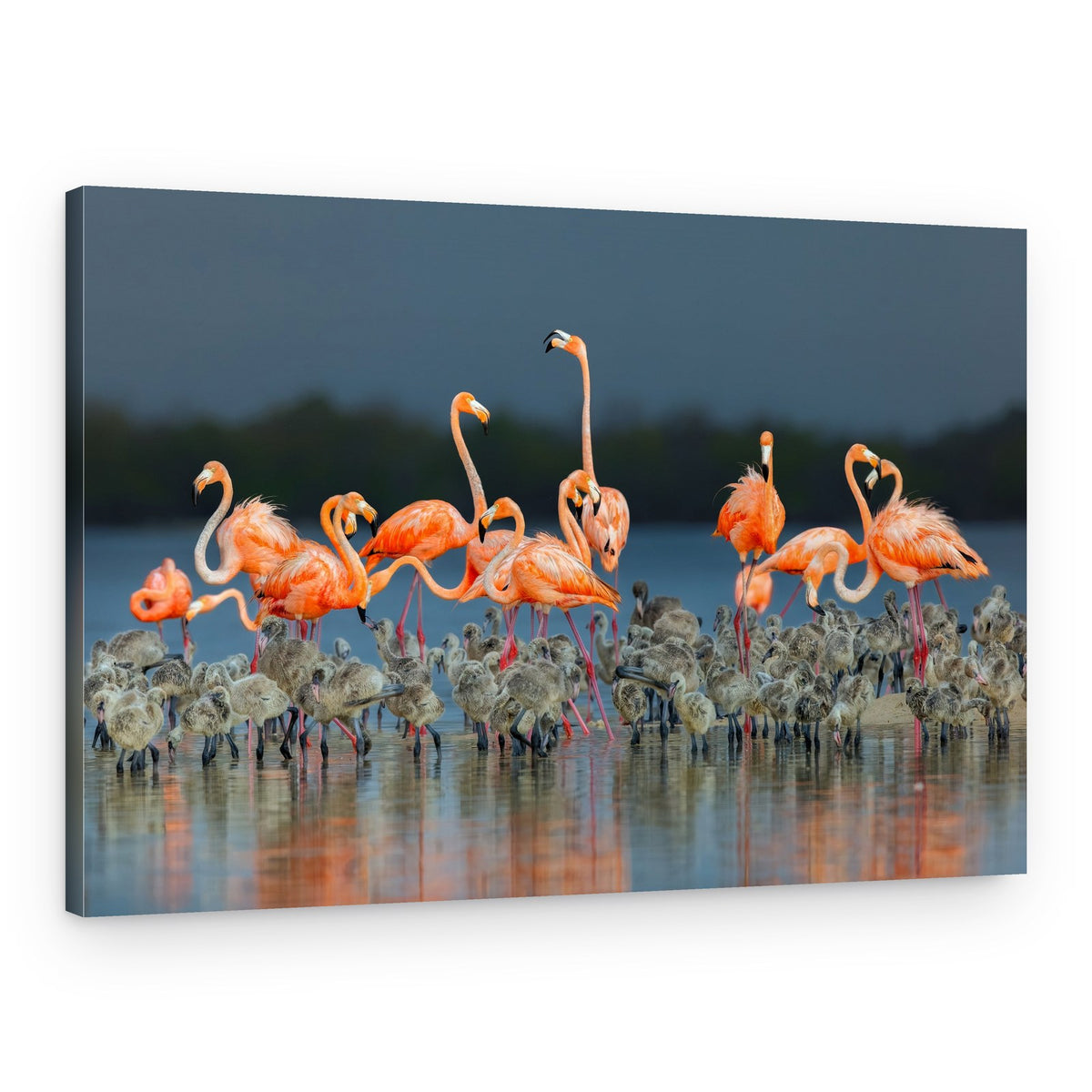 Flamingo Family Heart – Canvas Print