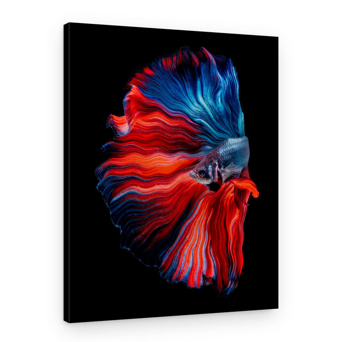 Vibrant Betta Flow – Canvas Print