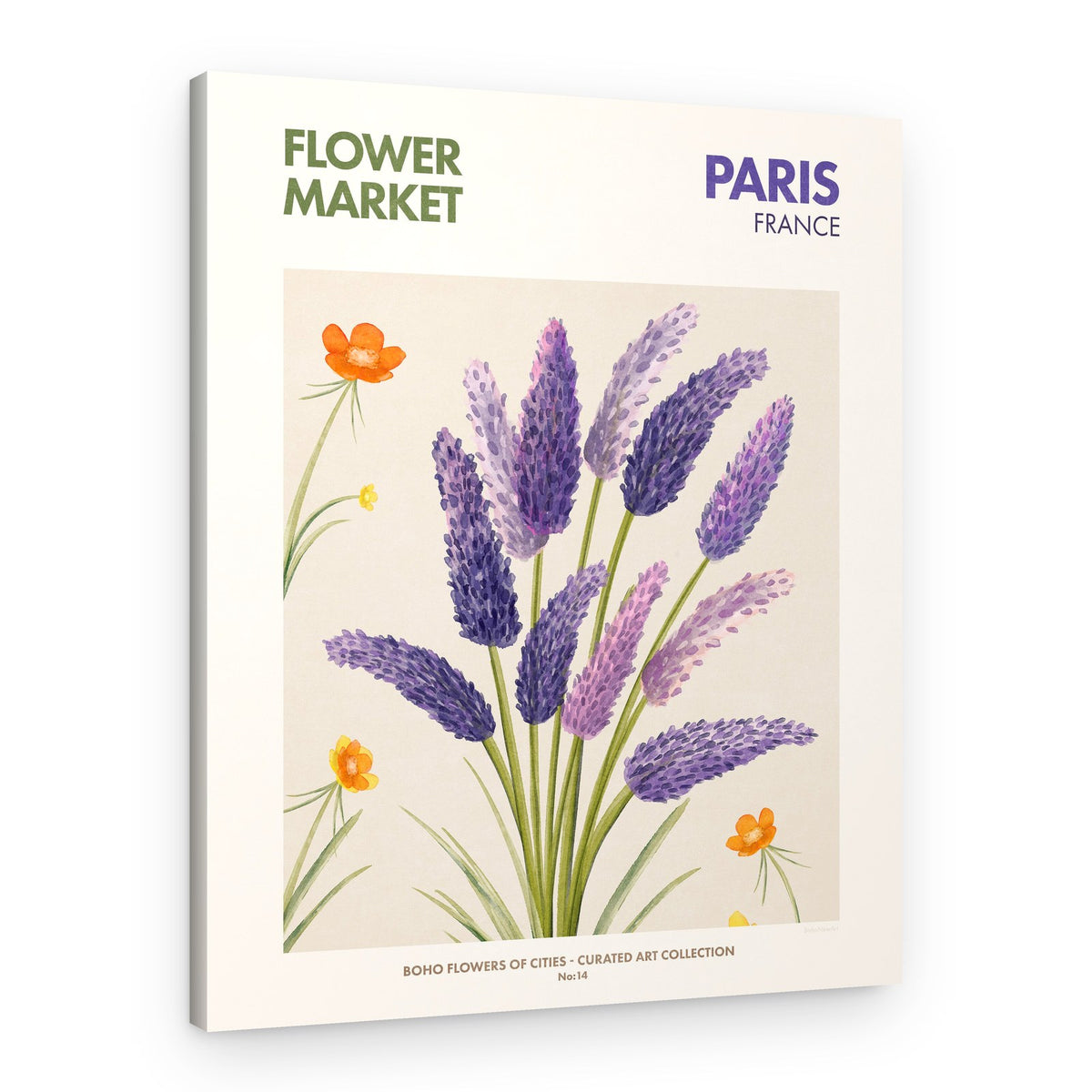 Lavender Blooms – Canvas Print