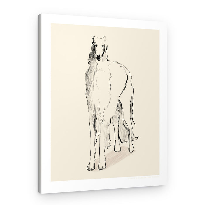 Borzoi Russian Wolfhound Pandc – Canvas Print