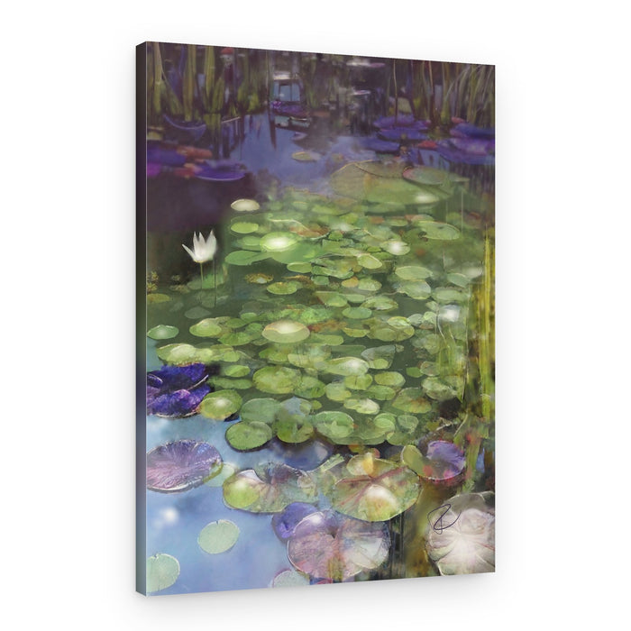 White Lily Pond – Canvas Print