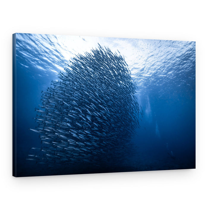 Deep Blue Fish School – Canvas Print