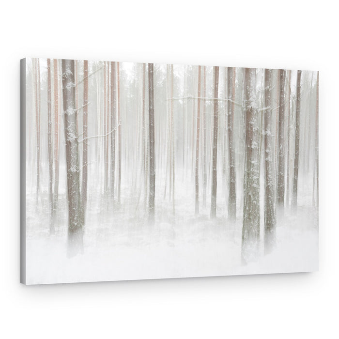 Misty Winter Forest – Canvas Print