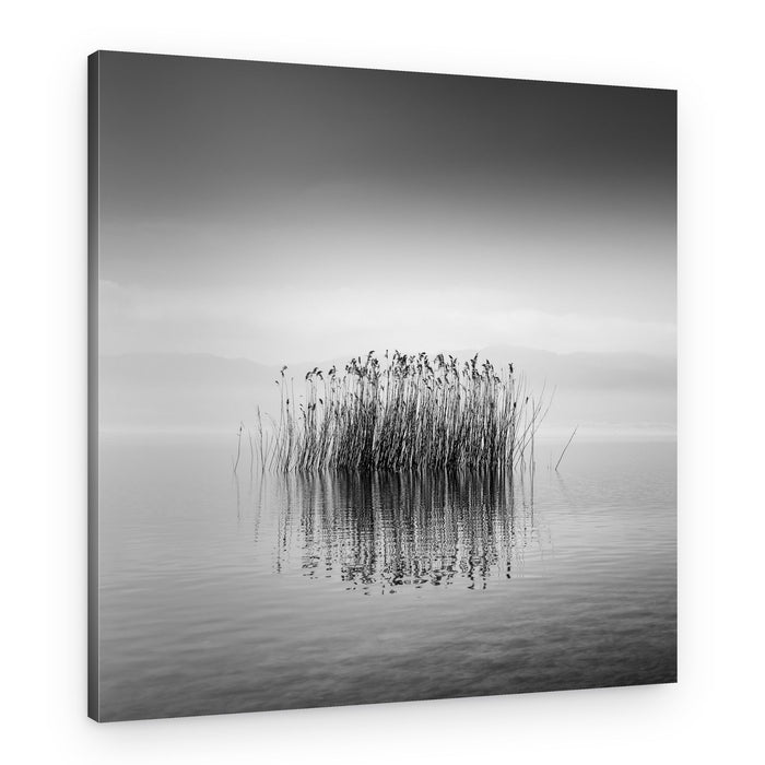 Misty Lake Reeds – Canvas Print