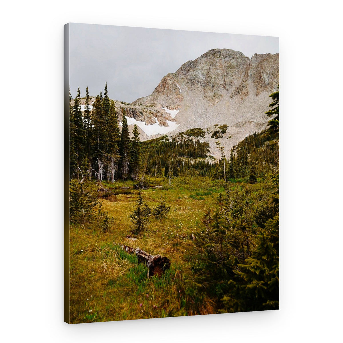 Wild Alpine Mountain Landscape – Canvas Print