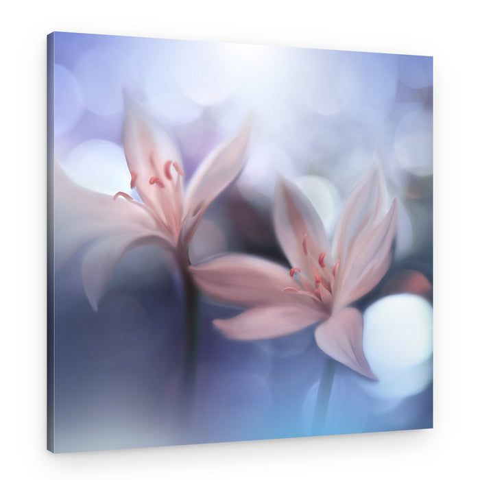 Delicate Pink Blooms – Canvas Print