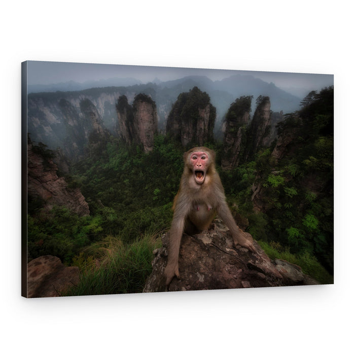 Screaming Monkey Mountains – Canvas Print
