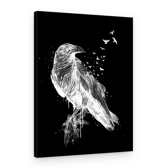 White Crow Freedom – Canvas Print